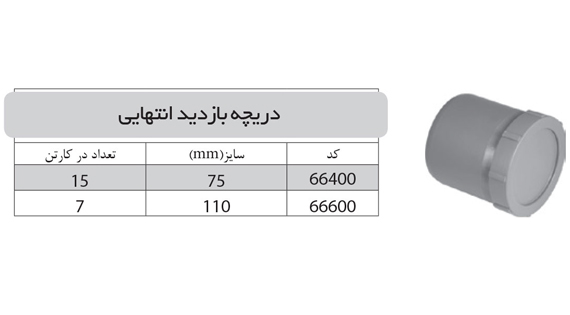 دریچه بازید انتهایی